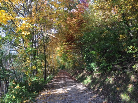 Jeder Weg ist einzigartig!